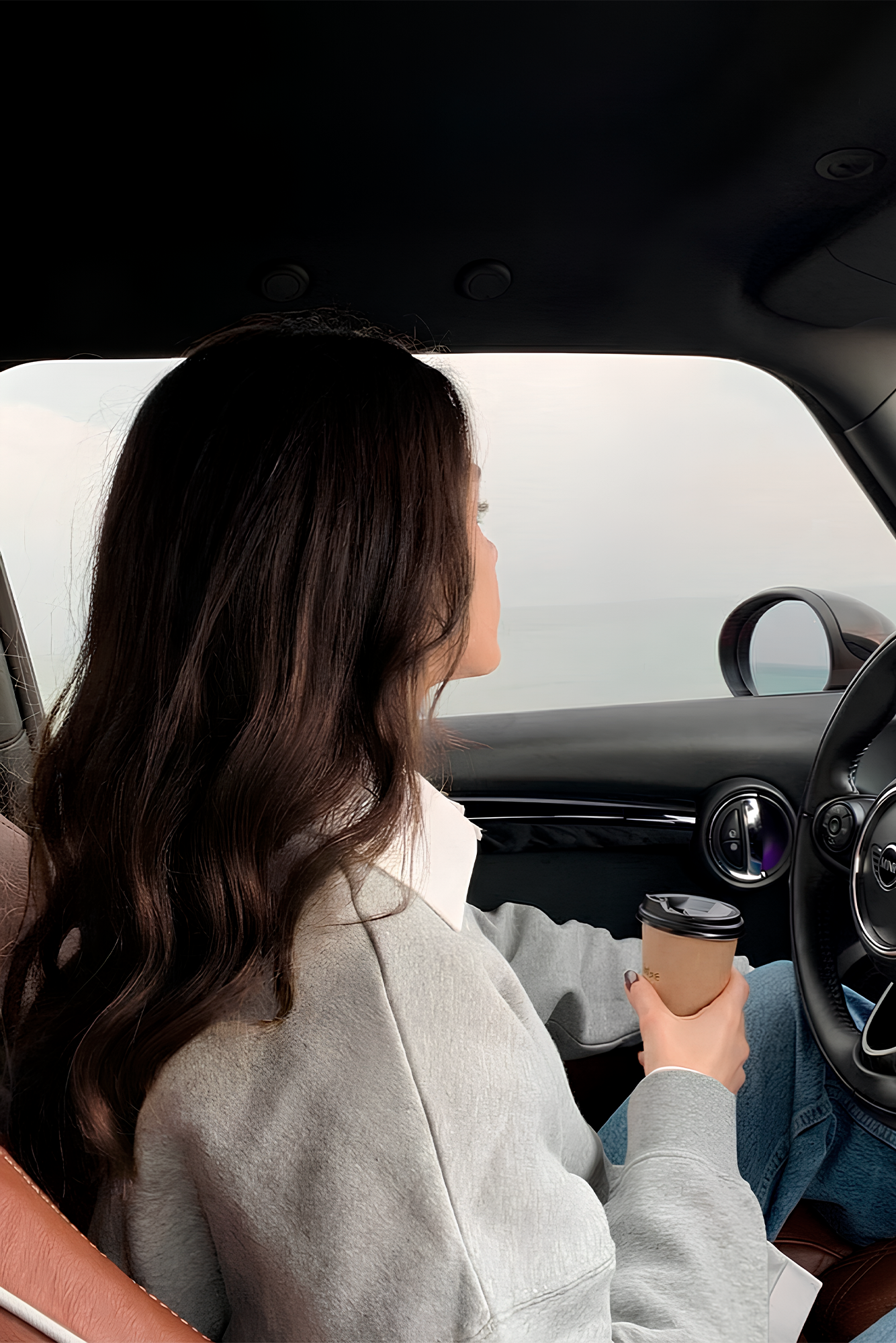 Extensión Clip 100g Castaño Oscuro #02