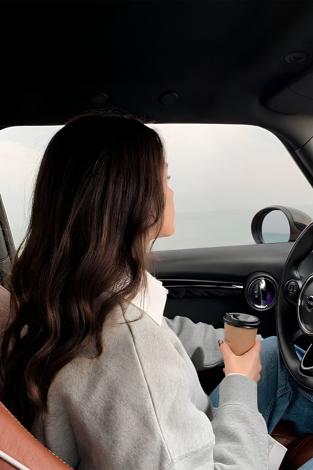 Extensión Clip 100g Castaño Oscuro 